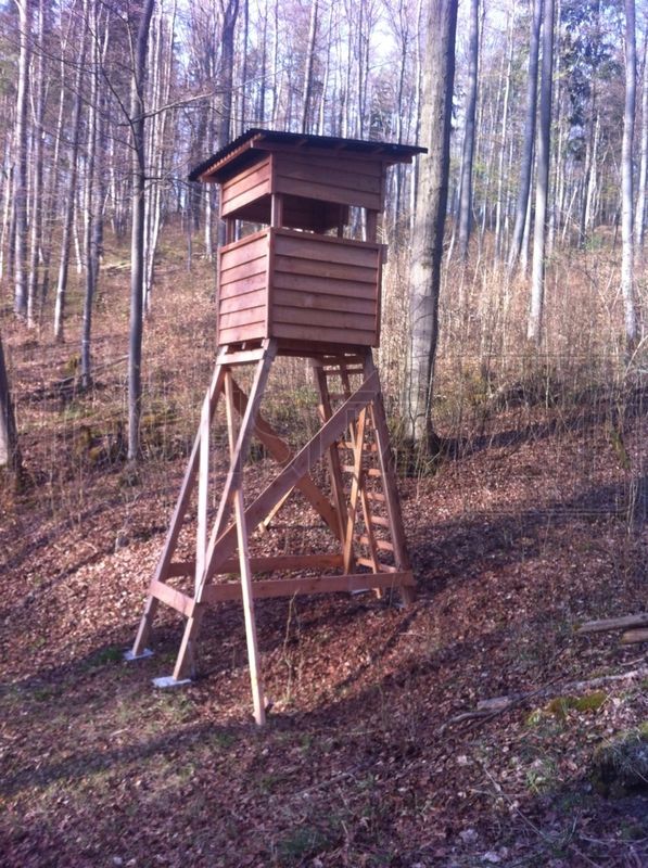 Offene, rustikale Waldkanzel – Bild 2