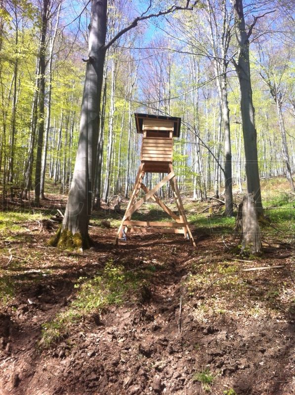 Offene, rustikale Waldkanzel – Bild 4