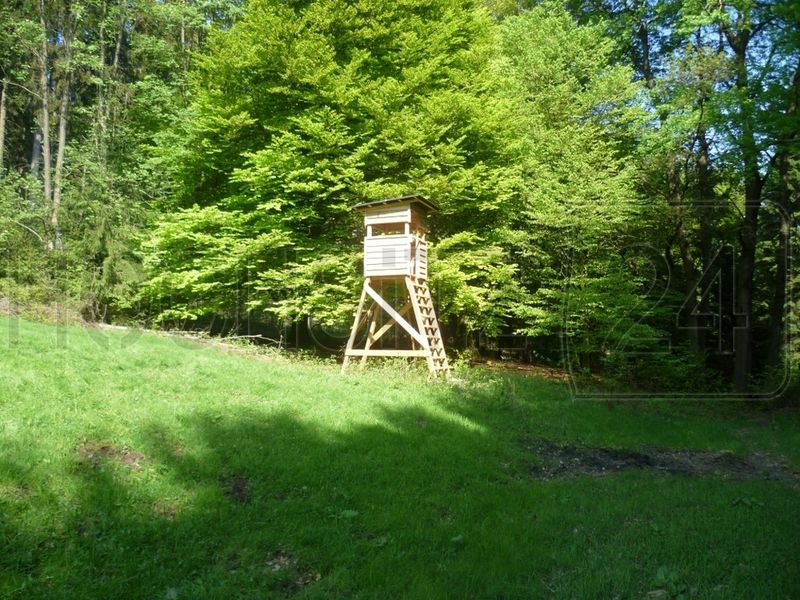 Offene, rustikale Waldkanzel – Bild 5